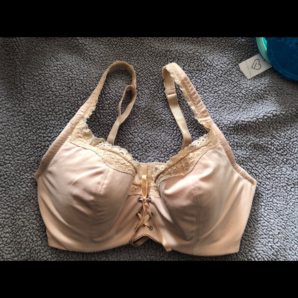 Fredericks of Hollywood 3097